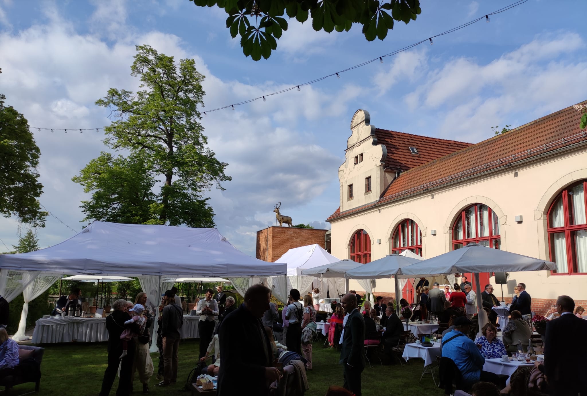 whatsapp bild 2025 06 01 um 18.33.32 5237e7b2